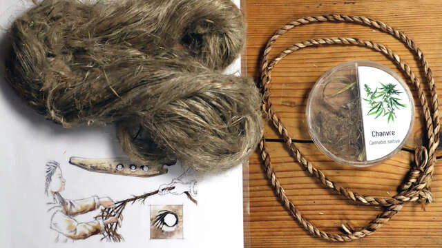 Au labo du Château :  Avoir la fibre