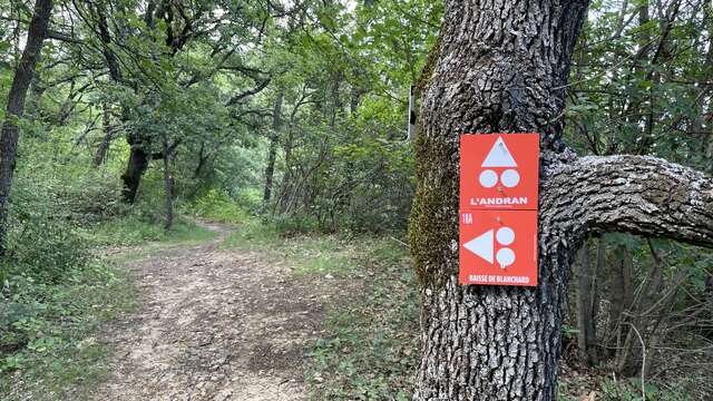 VTT n°18A - Enduro Baisse de Blanchard