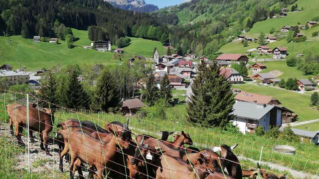 La Ferme d'en Haut