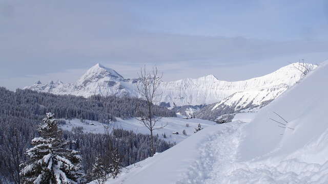 Le Mont-Rond Nr. 4