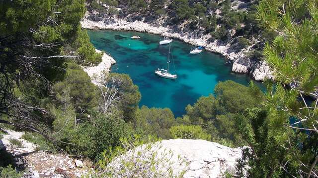 Das Magische : Wandern in den Calanques, die Aussichtspunkte von En Vau, Port Miou, Port Pin