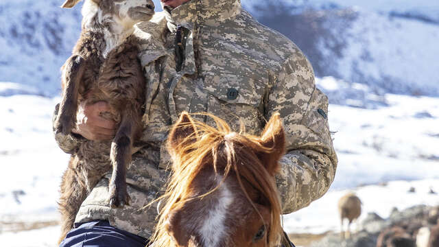 Exposition "Transhumance kirghize"