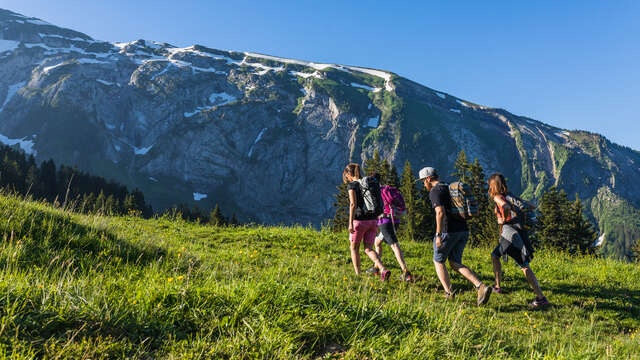 The tour of the alpine pastures from Fréterolle to Chardonnière