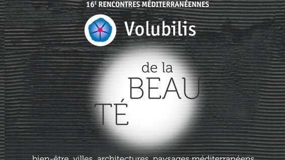 16e Rencontres euro-méditerranéennes de Volubilis  - De la beauté