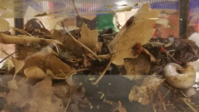 Les mercredis de l'Agora