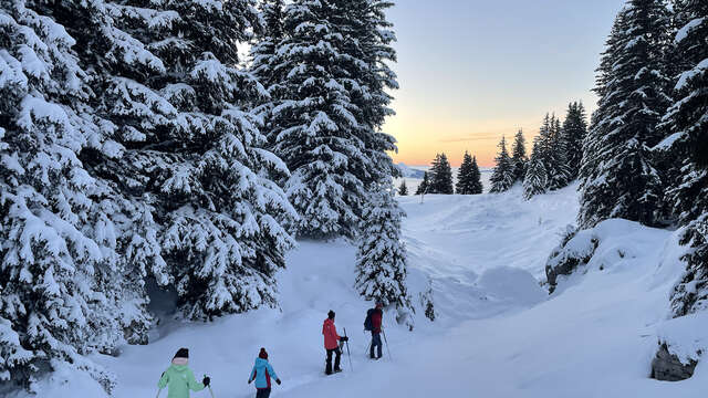 Goûter dans l'igloo et aventure en raquettes