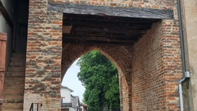 Liaison Vélo St Trivier de Courtes - Romenay