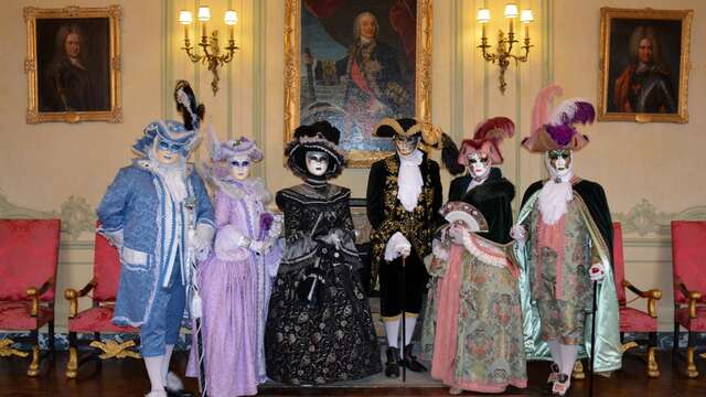 Déambulations et parades de costumés de Venise.