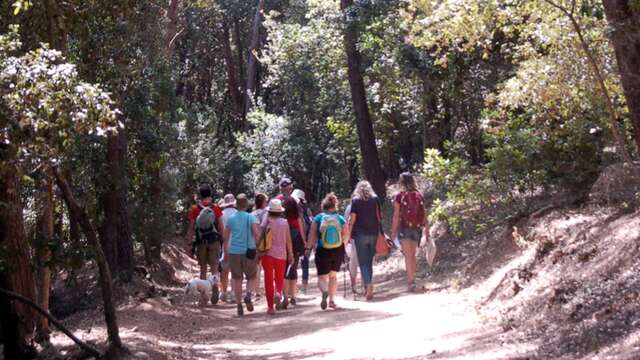 Nature and well-being walk in Giens