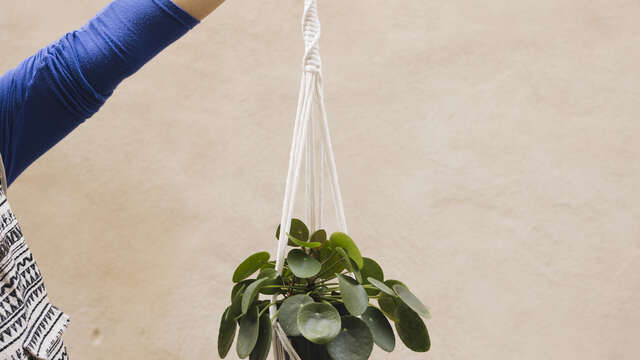 Atelier Macramé : Suspension