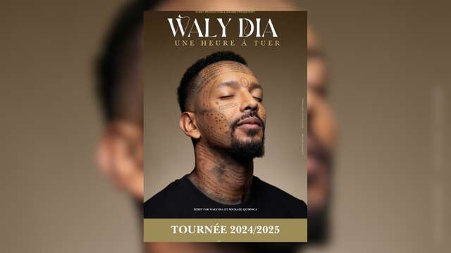 Humour : Waly Dia, Une heure à tuer | Théâtre Galli