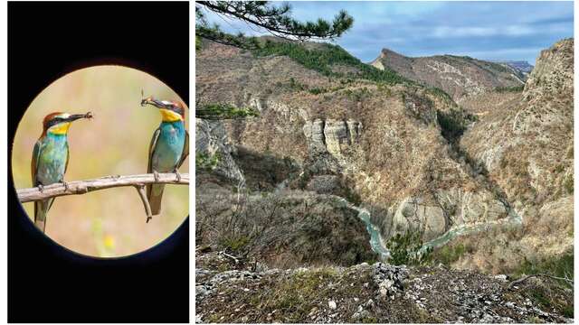 Rand-eau dans les Gorges du Vançon - Autres Versants