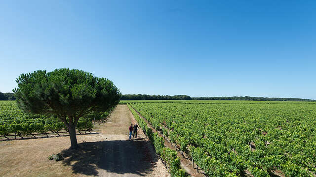 DOMAINE DES GIRAUDIÈRES