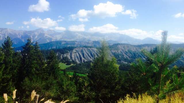 Trail n°7 - Crêtes du Grand Puy