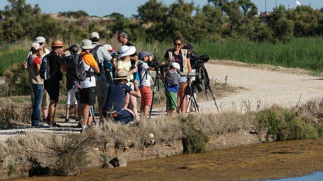 Devenez bénévole de la LPO sur l'Île de Ré