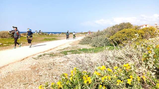 Marche en boucle Carro-Carro