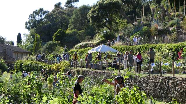 Gondwana, la Fête des Plantes Méditerranéennes