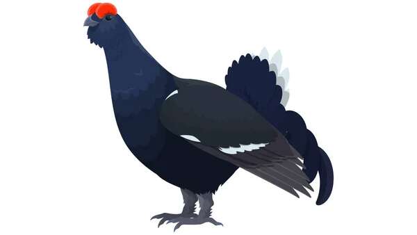 Atelier créatif "des oiseaux de montagnes"