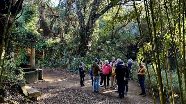 Visite thématique "Balade botanique au fil des saisons"