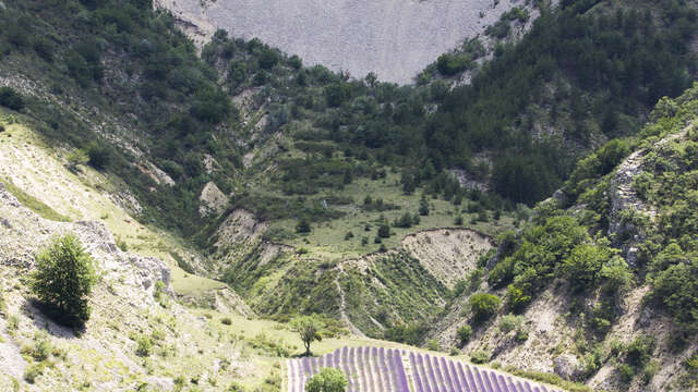Un petit air de Provence…au Pays des Baronnies (itinéraire n°12)