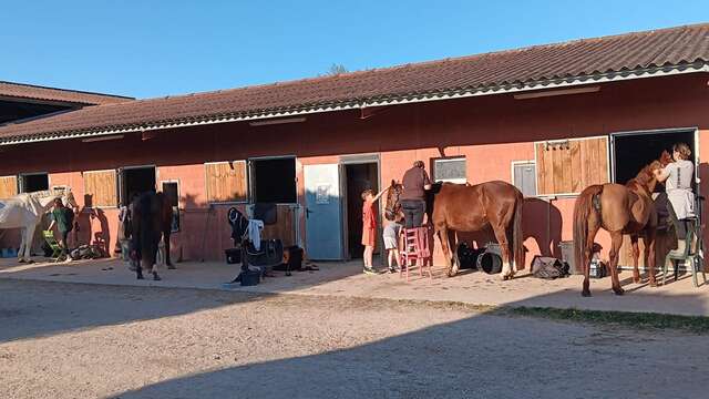 Stages centre équestre vacances d'avril