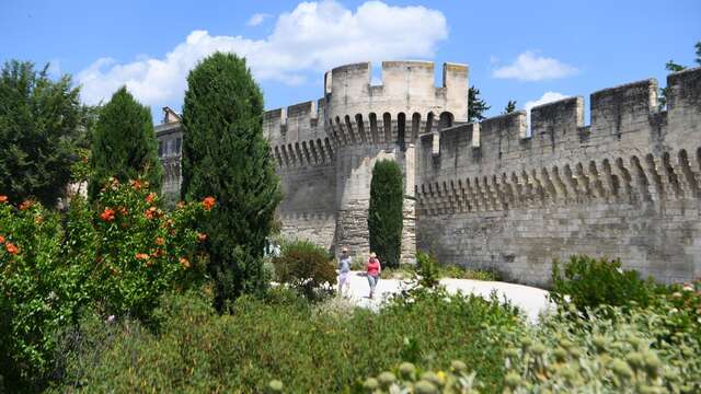 Cycle de visites guidées Avignon extra-muros