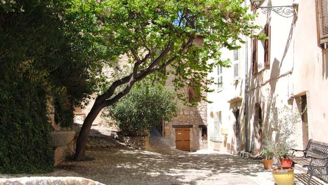 Promenade botanique au coeur de nos villages
