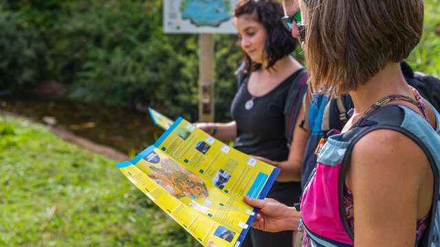 Parcours d'orientation VTT découverte (vert) - Bois Barbu