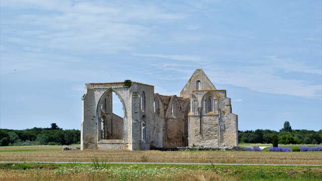 Geführte Radtour, historische Entdeckung von Saint-Martin-de-Ré in La Flotte durch J&M EVASION