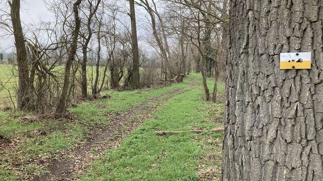 Sentier du castor - La Loire Forézienne : Montrond-les-Bains / Ecopôle du Forez