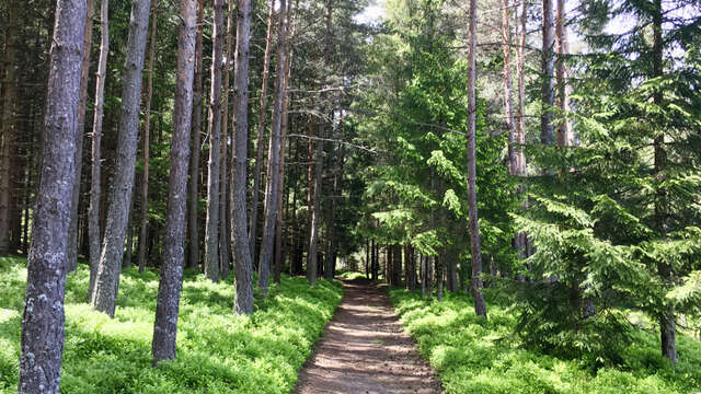 Parcours 31 - La Brugne