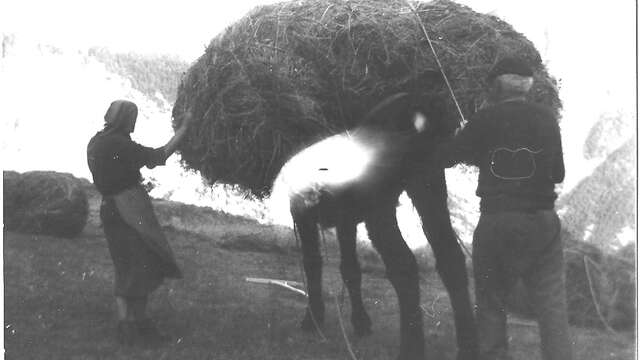 Sur les traces de Marilou, Françoise et Mamès , une vie de paysan au XXe Siècle - Nicolas Izquierdo