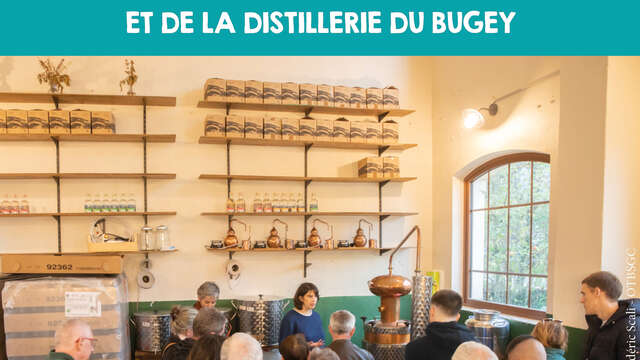Visite gourmande : Saint Martin-de-Bavel et la Distillerie du Bugey