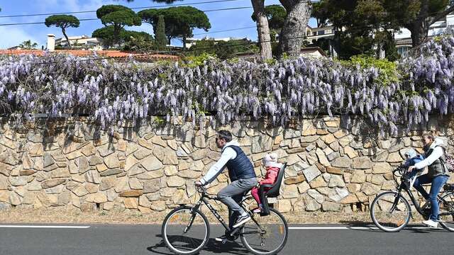 Bike Festival