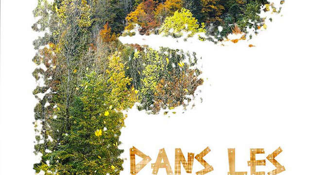 Dans les forêts - Ciné-conférence