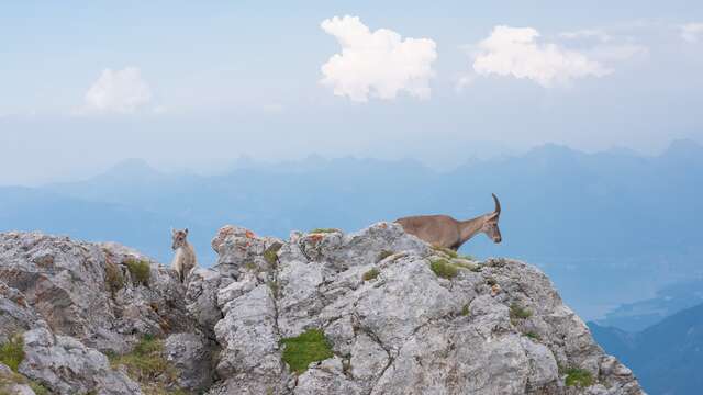 Trekking Tour des Oches