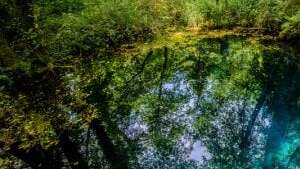 Exploration des puits du marais