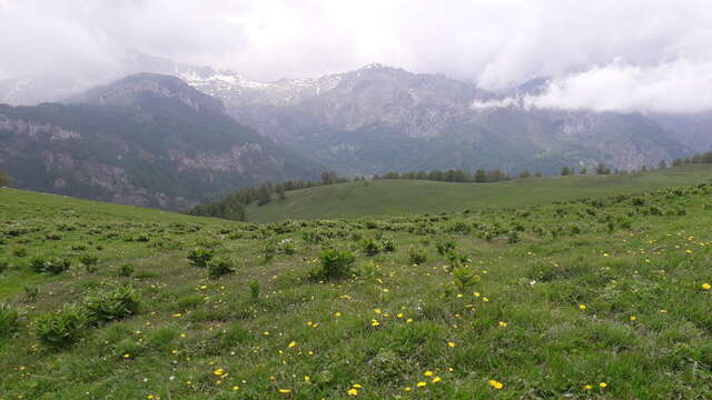 Hiking - Peyrafique - Ourne via Mont Chajol