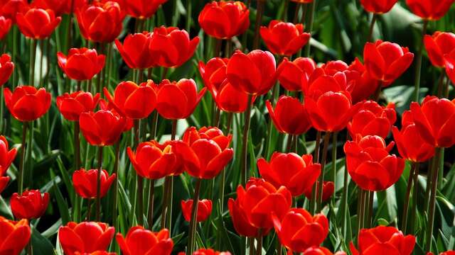 Soirées musicales au Domaine Martin de Grangeneuve
