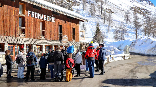 Visita alla fattoria