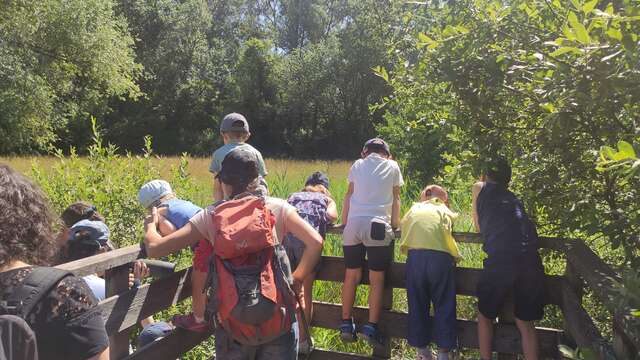 Eveil à la nature pour les tout-petits (3-6 ans)