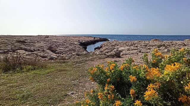 Botanical loop of the plain of Carro