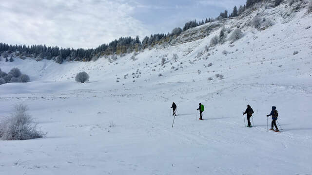 Curieux de Vercors