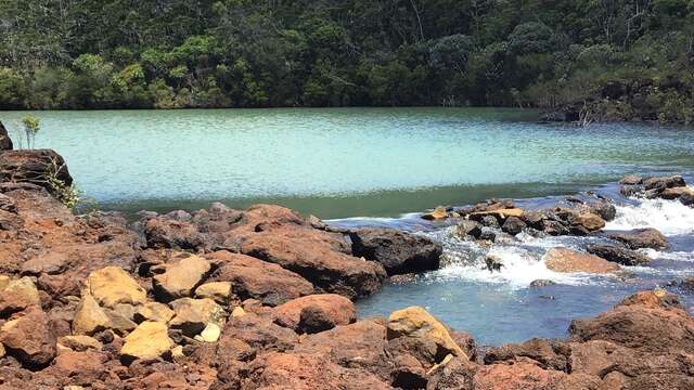 Creek Pernod - New Bridge Waterhole