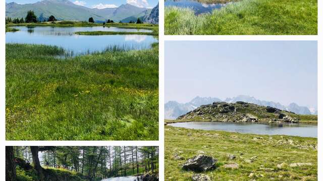 Hiking - Nordic walking