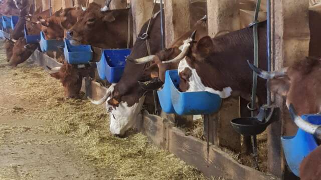 Visite de la Ferme de la Correrie