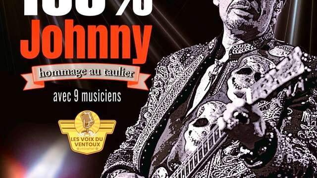 Tribute 100% Johnny - Hommage au Taulier