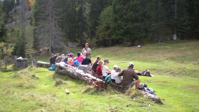 COMPLET - Les sens en éveil dans les pelouses sèches I Rendez-vous Nature en Savoie
