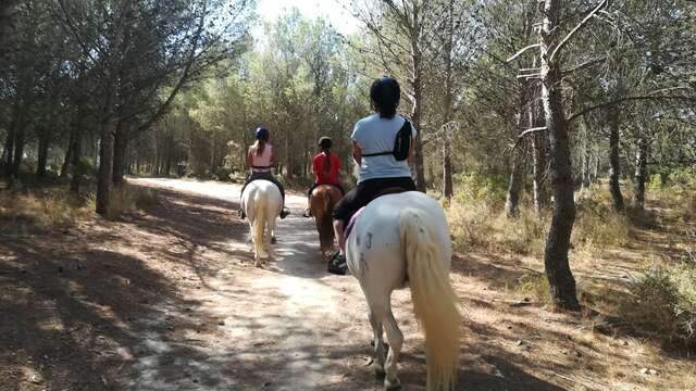 Morning horseback ride with the Deven