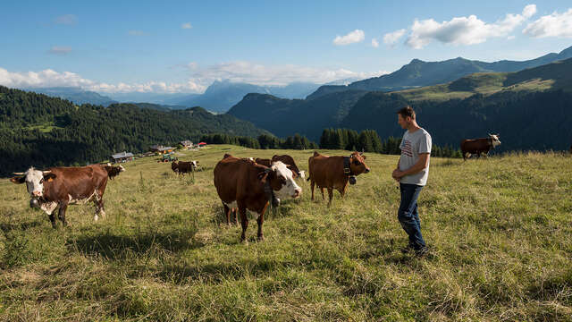 La Ferme du Caly